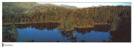 Tarn Hows postcards